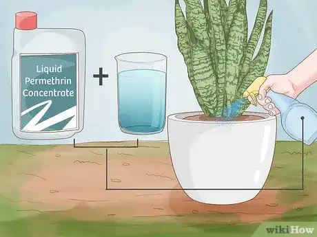 Image titled Remove Ants from Potted Plants Step 1