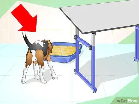 Image titled Litter Train a Dog Step 4
