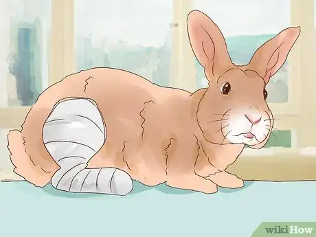 Image titled Deal with a Sick Rabbit Step 15