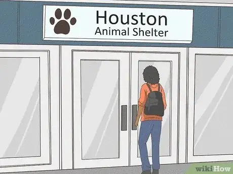 Image titled Volunteer at an Animal Shelter Step 5