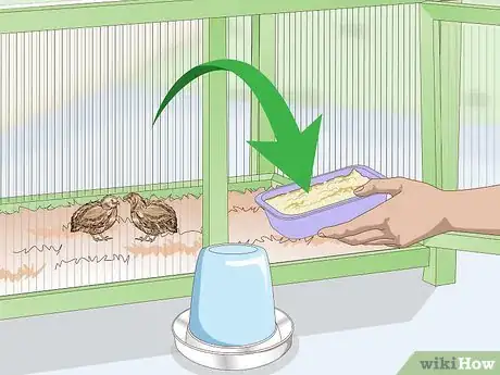 Image titled Clean and Maintain a Button Quail Cage Step 1