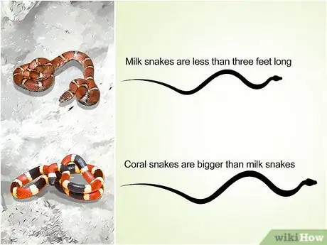 Image titled Tell the Difference Between a Milk Snake and a Coral Snake Step 4