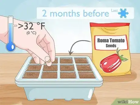 Image titled Grow Roma Tomatoes Step 4