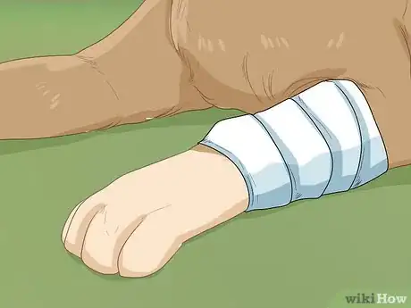 Image titled Help Your Dog Recover from Surgery Step 15