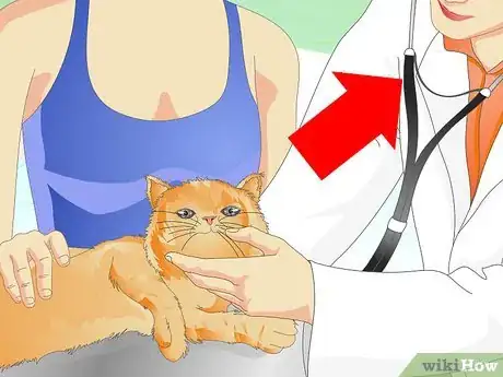 Image titled Prevent a Cat from Spraying Step 10