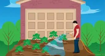 Depave Your Driveway
