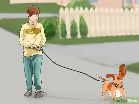 Image titled Make Your Wiener Dog Happy Step 1