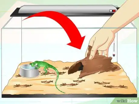 Image titled Take Care of a Chinese Water Dragon Step 10
