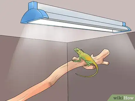 Image titled Build a Reptile Cage Step 10