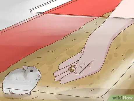 Image titled Care for Winter White Dwarf Hamsters Step 12