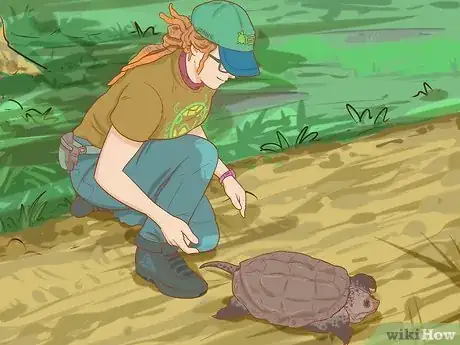 Image titled Pick Up a Snapping Turtle Step 1