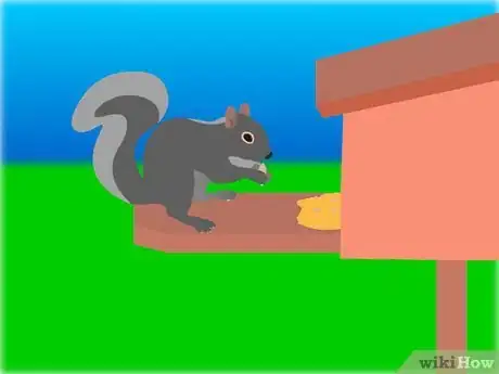 Image titled Keep Squirrels from Eating Pumpkins Step 11