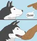 Teach Your Dog to Speak