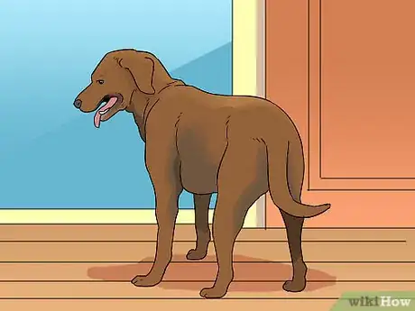 Image titled Make a Routine for Your Dog Step 10