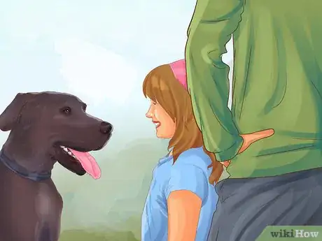 Image titled Identify a Great Dane Step 10