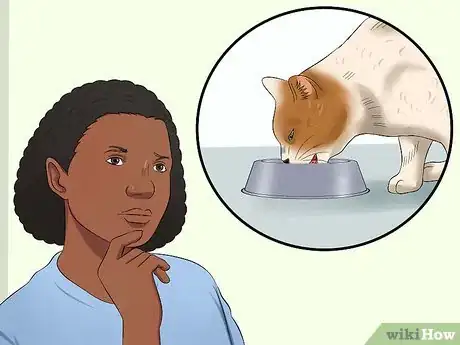 Image titled Give a Cat an Enema at Home Step 2
