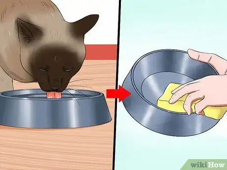Image titled Care for Burmese Cats Step 14