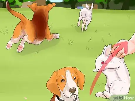 Image titled Train a Dog for Rabbit Hunting Step 10