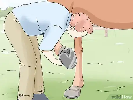 Image titled Help a Horse with a Thrown Shoe Step 1