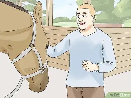 Image titled Help a Horse with a Thrown Shoe Step 6