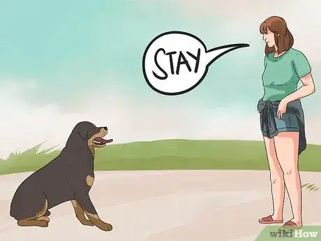 Image titled Train Your Dog to Not Run Away Step 12