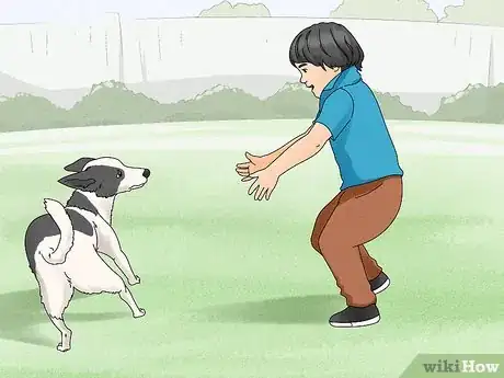 Image titled Hug a Dog Step 10