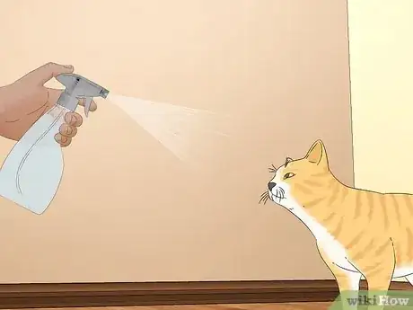 Image titled Use a Spray Bottle on a Cat for Training Step 1