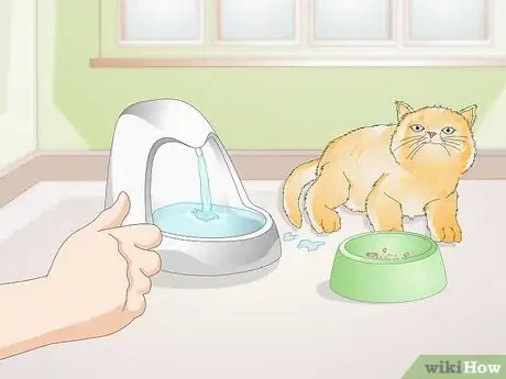 Image titled Train Your Cat to Use a Pet Fountain Step 7