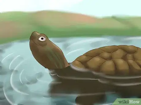 Image titled Make a Turtle Trap Step 12