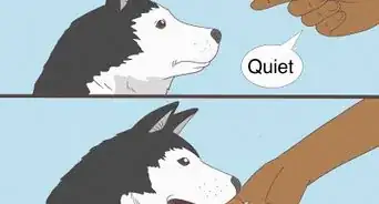 Teach Your Dog to Speak