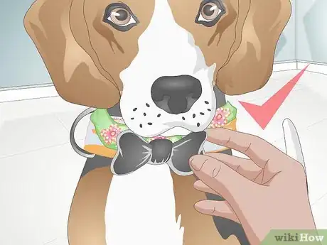 Image titled Decorate a Dog's Collar Step 12