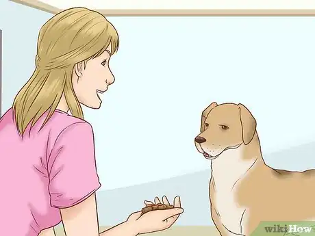 Image titled Get Your Dog's Attention Step 2