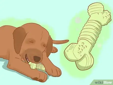 Image titled Stop My Dog from Biting when Excited Step 1