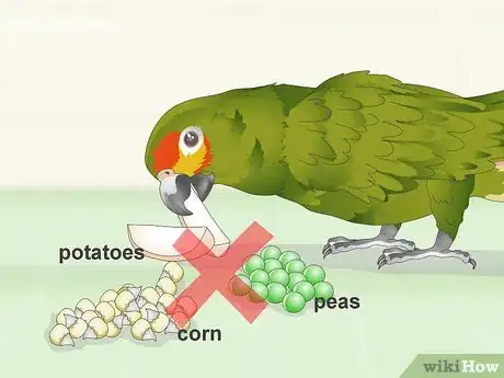Image titled Deal with an Aggressive Amazon Parrot Step 21