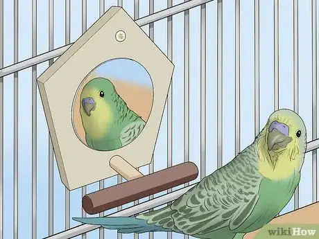 Image titled Amuse Your Parakeet or Other Bird Step 3