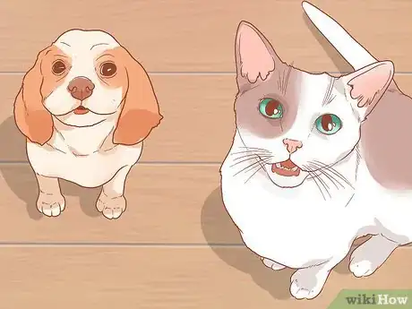 Image titled Introduce a New Puppy to the Resident Cat Step 7