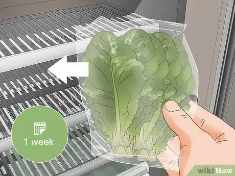 Image titled Grow Lettuce in a Pot Step 21