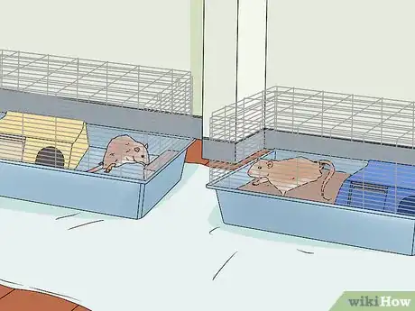 Image titled Take Care of a Paralyzed Rat Step 10