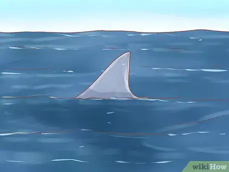 Image titled Spot a Tiger Shark Step 9