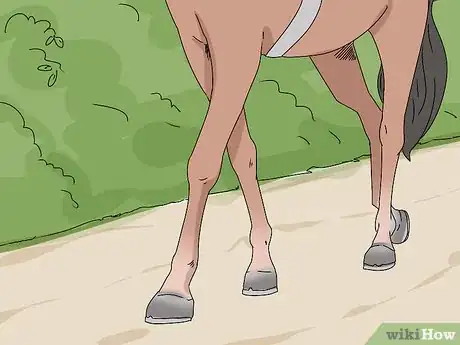 Image titled Help a Horse with a Thrown Shoe Step 9