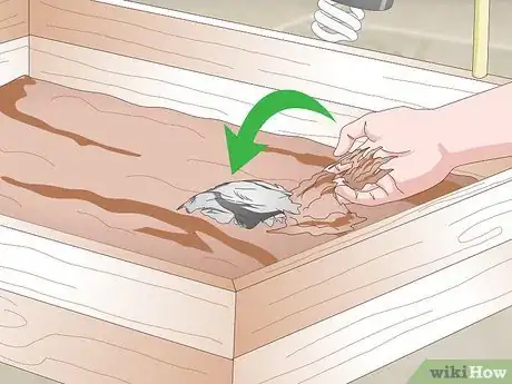 Image titled Create an Indoor Box Turtle Habitat Step 10