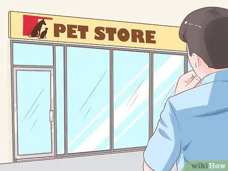 Image titled Get Another Dog After a Pet Dog's Death Step 10