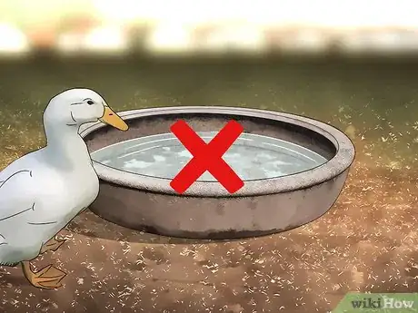 Image titled Keep Ducks Out of a Pool Step 2