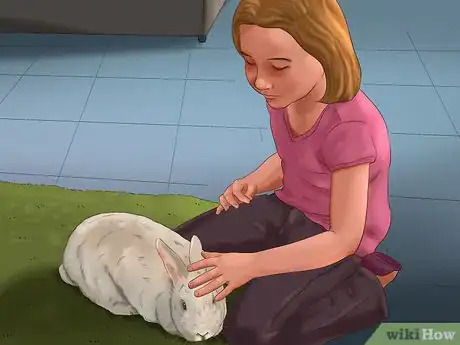 Image titled Get Your Bunny Used to You Step 8