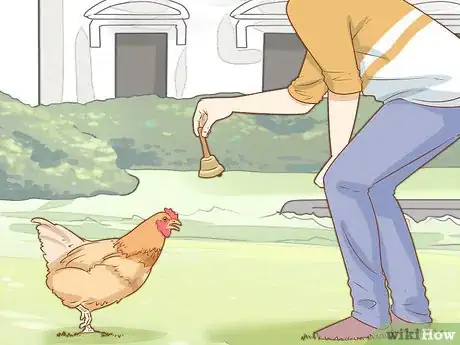Image titled Talk to Your Chickens Step 11