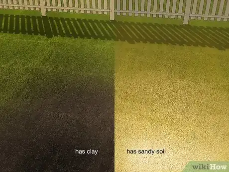 Image titled Tell if Your Lawn Needs Lime Step 5