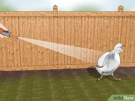 Image titled Keep Birds Away Step 16