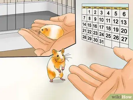 Image titled Pick up Your Hamster Step 8