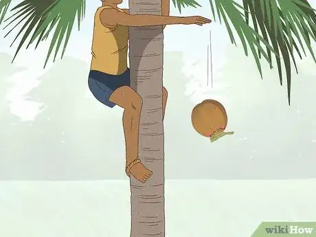 Image titled Harvest a Coconut Step 12
