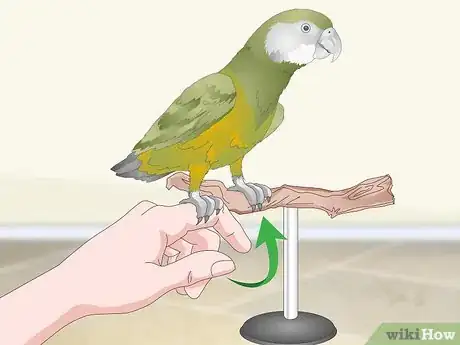 Image titled Apply Eye Drops in a Parrot's Eye Step 12